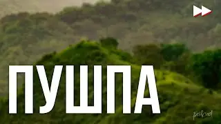 Пушпа (2021) HD / советую смотреть, онлайн обзор фильма