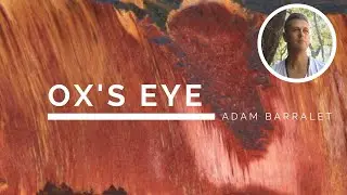 Ox's Eye - The Crystal of Resilient Adaptability