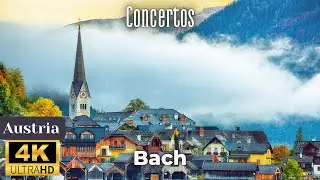 Бах - Концерты - (Австрия 4K) Bach - Concertos