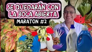 MARATÓN #2 SERÁS LA ENVIDIA de tus vecinas TODO con RECICLAJE no lo desperdicies úsalo en tu jardín😎