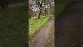 Viper 12 test
