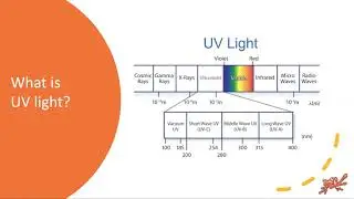 ILEAKEYNOTE: UVC Light and the Events Industry: Innovation and the Future of Safe Events