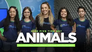 High Five Time - Animals