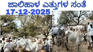 ಜಾಲಿಹಾಳ ಎತ್ತುಗಳ ಸಂತೆ Jalihal cattle Market