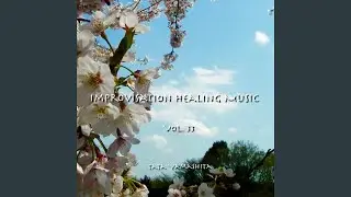 Improvisation Healing Music #295