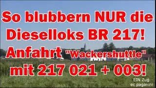 So blubbern NUR die Dieselloks der BR 217! Anfahrt des 'Wackershuttles' mit 217 021 und 217 003 r/b