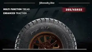 AMP Tires Collection