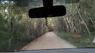 going towards boutique hotel Las Laguna deep in Tikaal forest lake