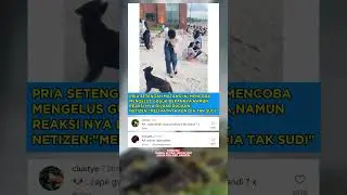 kasih judul dong 😂🤣
