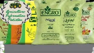 Today Market update Fertilizers price's DAP-SONA UREA SARSABZ NITROPHAS