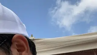 هايكنج الغارب مباشر