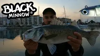 Pêche du Bar au Leurre Souple : Black Minnow Fiiish