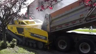 Asphalt paving on N 80th Street in Greenwood, Seattle, WA