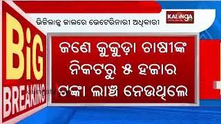 Veterinary officer under vigilance net in Riamal block of Deogarh || Kalinga TV