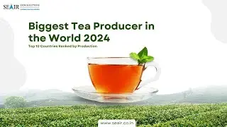 Biggest Tea Producer in the World 2024 Top 10 Countries Ranked by Production