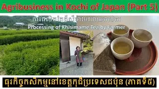 Agri-business in Kochi, Japan (Part 5: Agro-processing by farmer)
