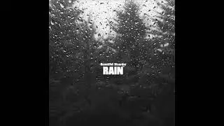Beautiful Disorder - RAIN ( Full Album )