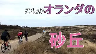 オランダの砂丘を通って海を見に行こう【ロードバイク】