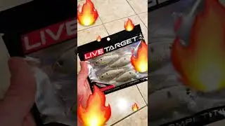 LIVETARGET SKIP SHAD #bait #shad #shorts #bassfishing #finesse #googansquad #largemouth #smallmouth