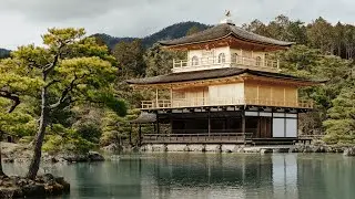 4K Footage on the 5D Mark IV | 日本 | Japan in Spring