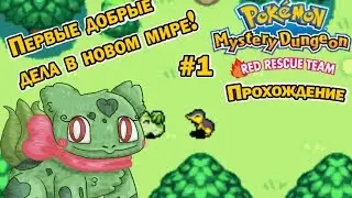 Первые добрые дела в новом мире!|Pokemon Mystery Dungeon Red Rescue Team #1