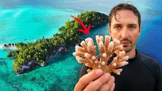 Raja Ampat : Le Dernier Sanctuaire du Corail (Documentaire)
