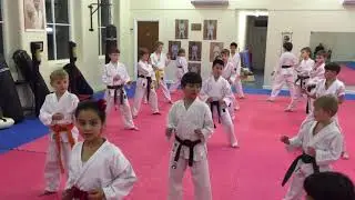 Leeds Karate Academy Feb 2016. Kumite reaction drill.
