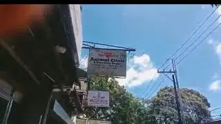 ONE SAFE RIDE GOING TO THE PET SHOP