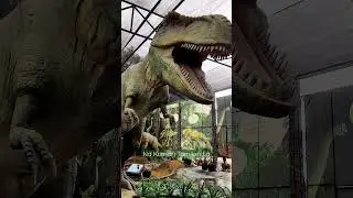 Dinosaur in Chennai / seashell Museum/ Mahabalipuram/ Na Kumari Tamilan La