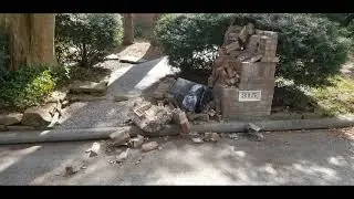 FedEx Destroyed My Mailbox