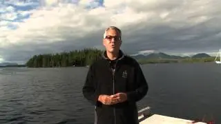 How to Help Salmon Conservation