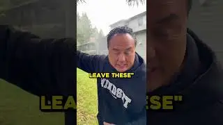 How&nbsp;Much&nbsp;It&nbsp;Cost&nbsp;To&nbsp;Pressure&nbsp;Wash&nbsp;A&nbsp;Roof