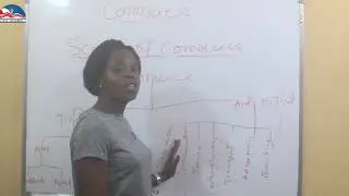 Commerce.  Meaning, Scope and Functions of Commerce (SS1)