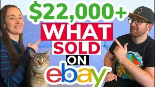 What Sold On eBay July 2020 BOLO's vs NOLO's eBay Reseller