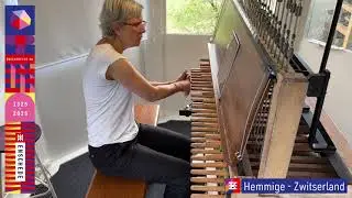 Hemmige - Zwitserland. Enschede 700