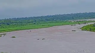Buckler&rsquo;s Africa Lodge: Live Stream from Iconic Property Overlooking the Crocodile River