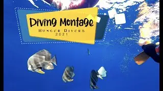 Diving Montage 自由潛水蒙太奇｜GoPro9 / Sony FDR-X3000｜自由潛水 Freediving｜Hunger Divers 飢餓潛水員！