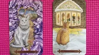 Lion&rsquo;s Gate Portal 8-8-2020 Guided Meditation