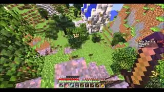 |Minecraft HG| Blitz Survival Games w/ InterruptingDonphan