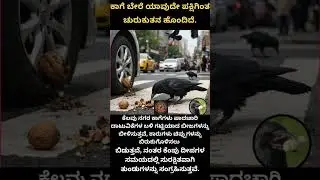 #popular #shortsfeed #kannada #viral #news #shorts