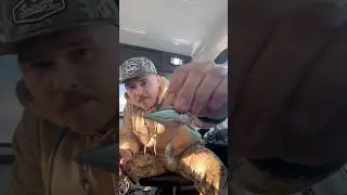 Good lures to use on Devils Lake North Dakota. #fishing #fishingtips #subscribe