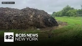 Mystery compost causing unbearable odor, Long Island residents say