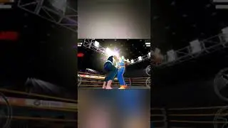Tag Team Karate Fighting Tiger fight gameplay