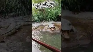 The Jungle River Cruise in Disneyland Hk