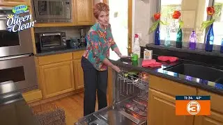 Queen of Clean | How to clean a dishwasher