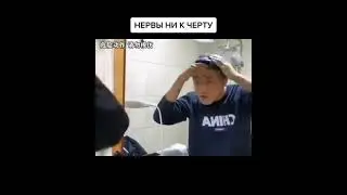 Animals Acting Like People&hellip; And It&rsquo;s Hilarious. Funny Pet.