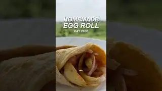 High Protein Egg Roll | 18g Protein