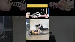 Favorite moves for the lumbar spine✅ #trends #exercise #Yoga #gym #weightloss #explore