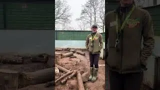 How to become a ZooKeeper.....
