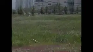 SHIN CS. AUTO ROTATION